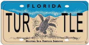 Sea Turtle License Plate Grant Program Logo