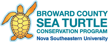 Broward County Sea Turtle Conservation Program