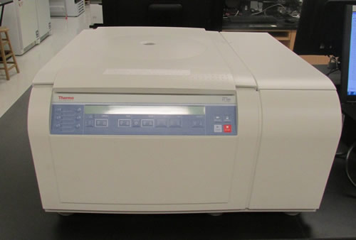 Thermo Scientific Centrifuge (ST16R)